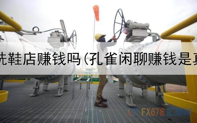 网上开洗鞋店赚钱吗(孔雀闲聊赚钱是真的吗)