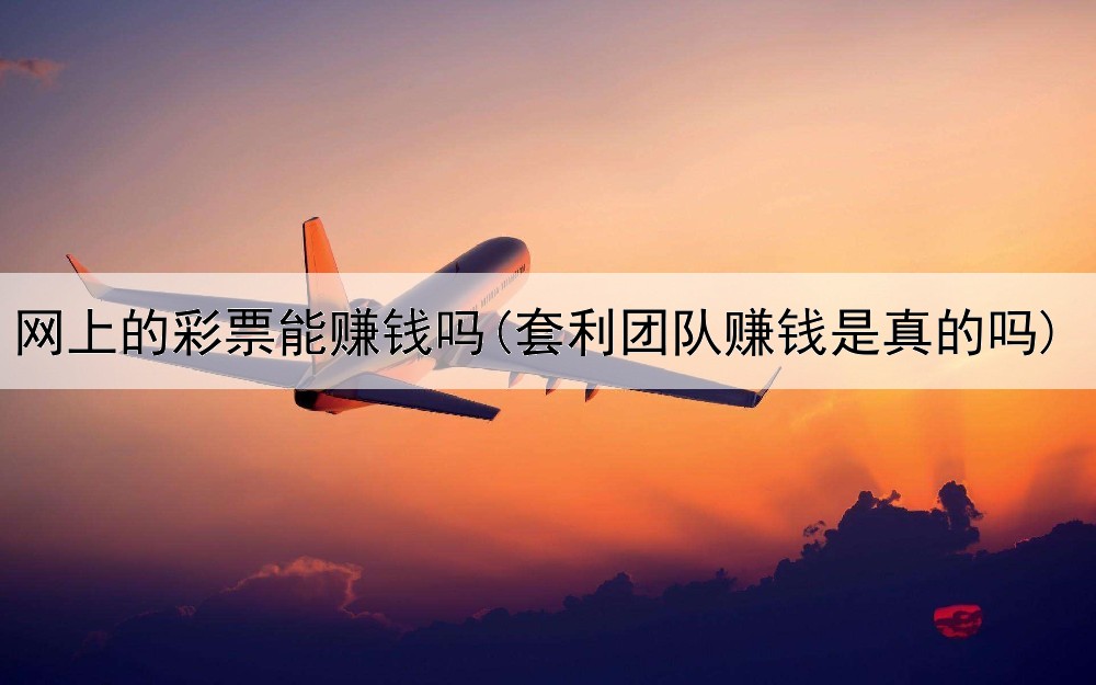 网上的彩票能赚钱吗(套利团队赚钱是真的吗)