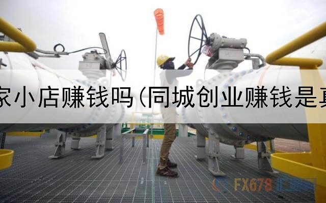 网上开家小店赚钱吗(同城创业赚钱是真的吗)