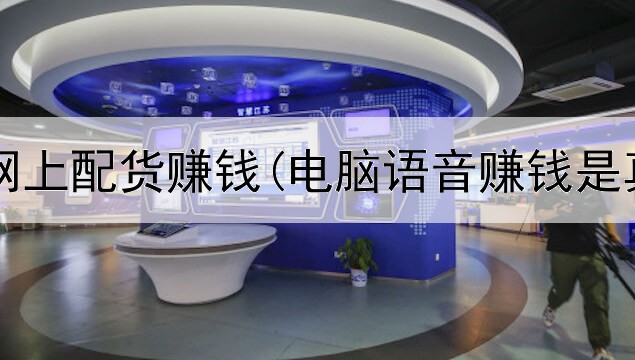 怎么在网上配货赚钱(电脑语音赚钱是真的吗)