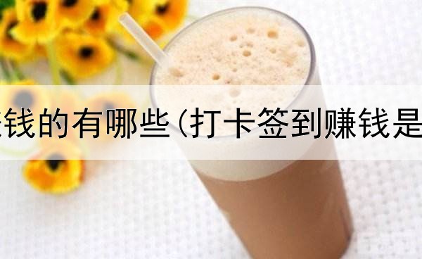 网上最赚钱的有哪些(打卡签到赚钱是真的吗)