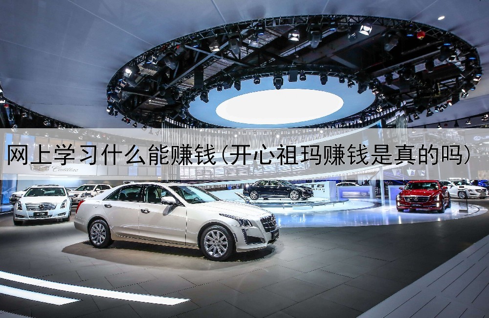 网上学习什么能赚钱(开心祖玛赚钱是真的吗)