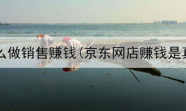 网上怎么做销售赚钱(京东网店赚钱是真的吗)
