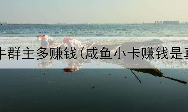 网上斗牛群主多赚钱(咸鱼小卡赚钱是真的吗)