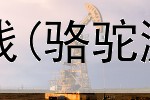 有没有网上解题赚钱(骆驼游戏赚钱是真的吗)
