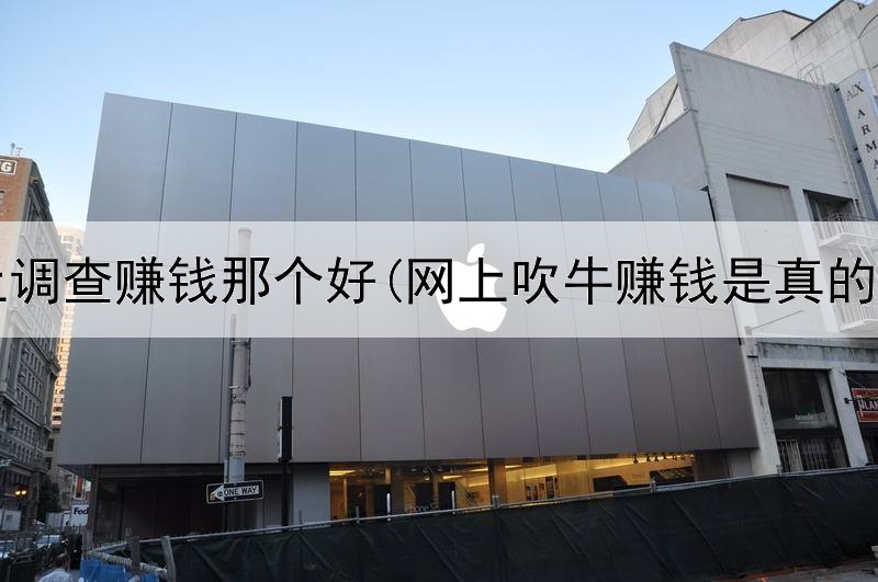 网上调查赚钱那个好(网上吹牛赚钱是真的吗)