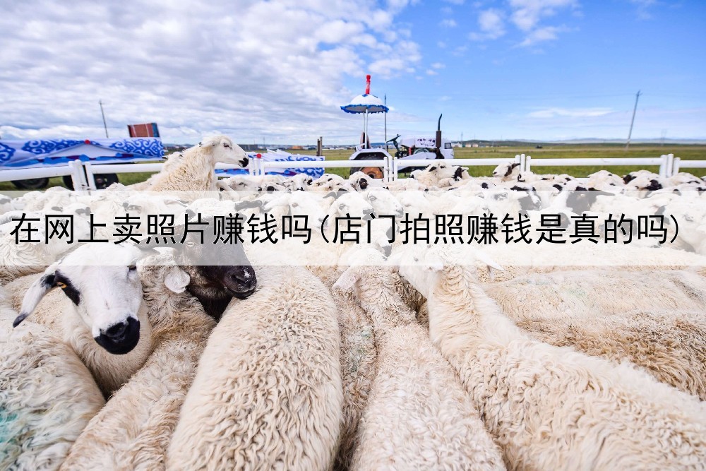 在网上卖照片赚钱吗(店门拍照赚钱是真的吗)