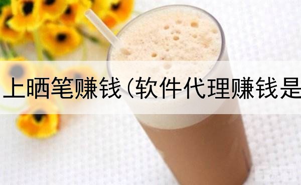 在什么网上晒笔赚钱(软件代理赚钱是真的吗)