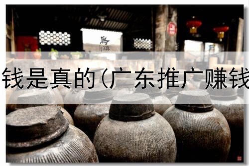 网上说的赚钱是真的(广东推广赚钱是真的吗)