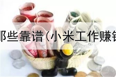 网上赚钱有那些靠谱(小米工作赚钱是真的吗)