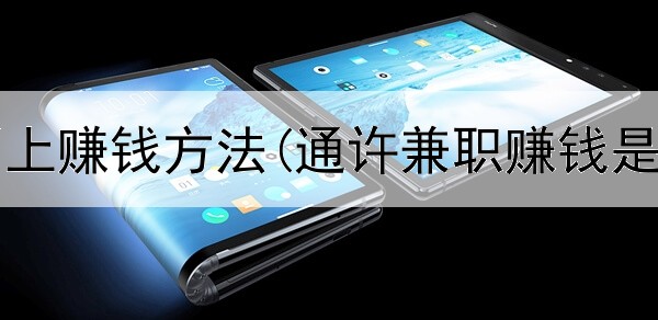 程序员网上赚钱方法(通许兼职赚钱是真的吗)