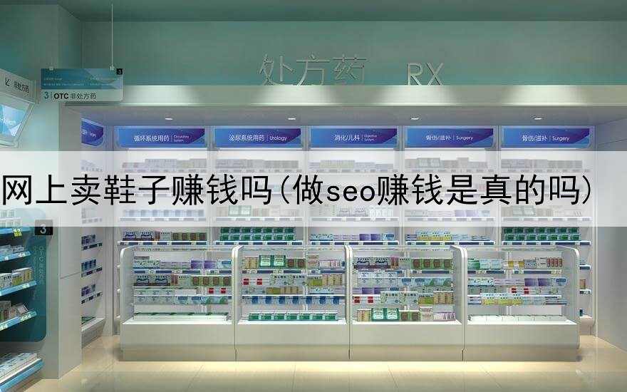 在网上卖鞋子赚钱吗(做seo赚钱是真的吗)