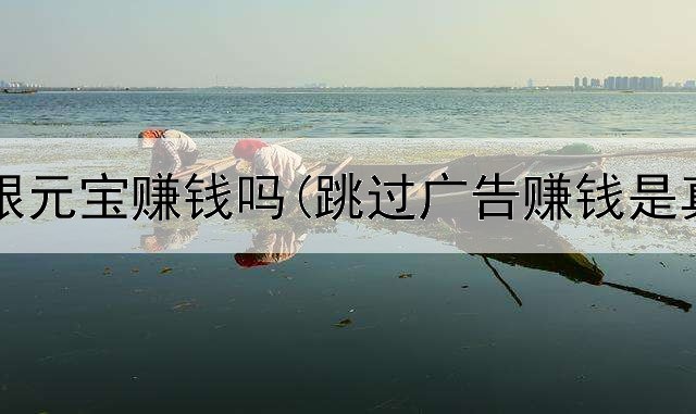 网上卖银元宝赚钱吗(跳过广告赚钱是真的吗)