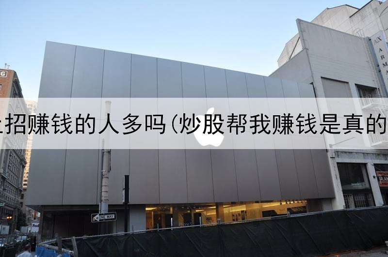 网上招赚钱的人多吗(炒股帮我赚钱是真的吗)
