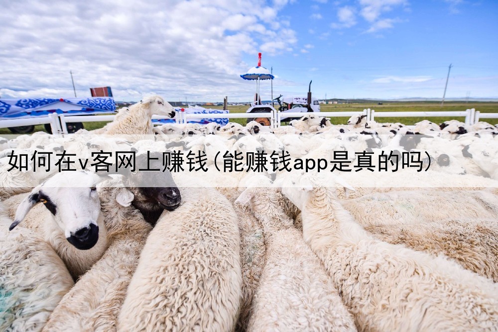 如何在v客网上赚钱(能赚钱app是真的吗)