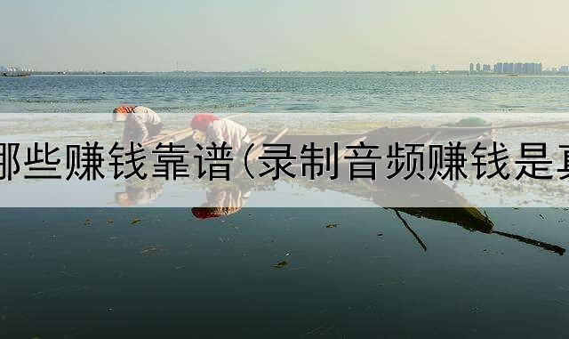 网上有哪些赚钱靠谱(录制音频赚钱是真的吗)