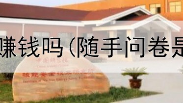 带娃网上开店赚钱吗(随手问卷是真的赚钱吗)