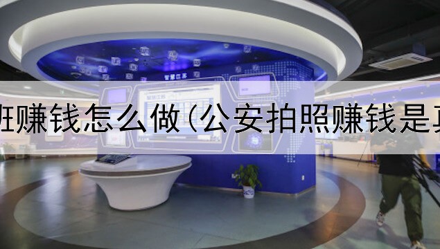 网上上班赚钱怎么做(公安拍照赚钱是真的吗)
