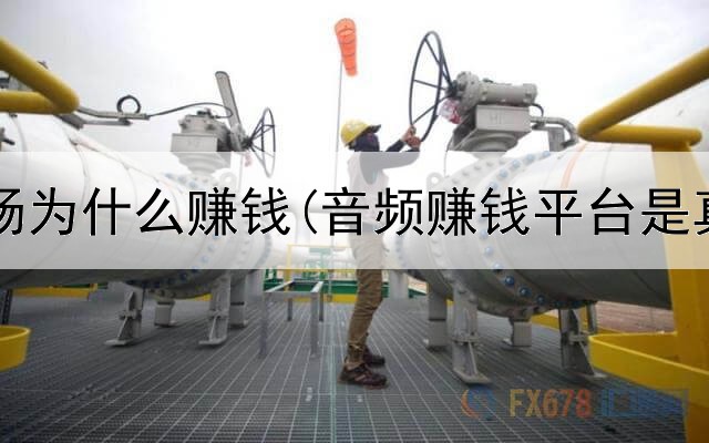 网上农场为什么赚钱(音频赚钱平台是真的吗)