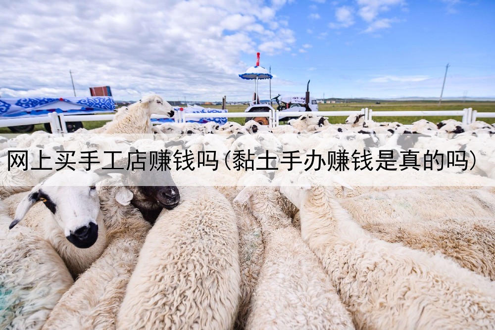 网上买手工店赚钱吗(黏土手办赚钱是真的吗)