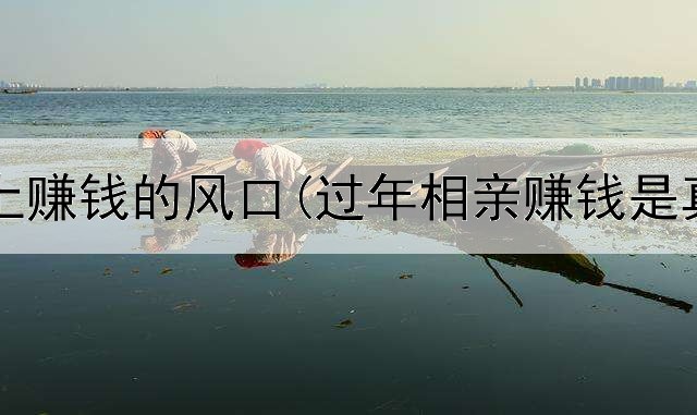 最新网上赚钱的风口(过年相亲赚钱是真的吗)