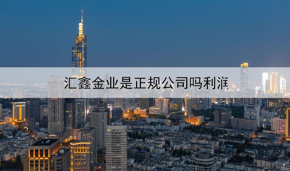  汇鑫金业是正规公司吗利润