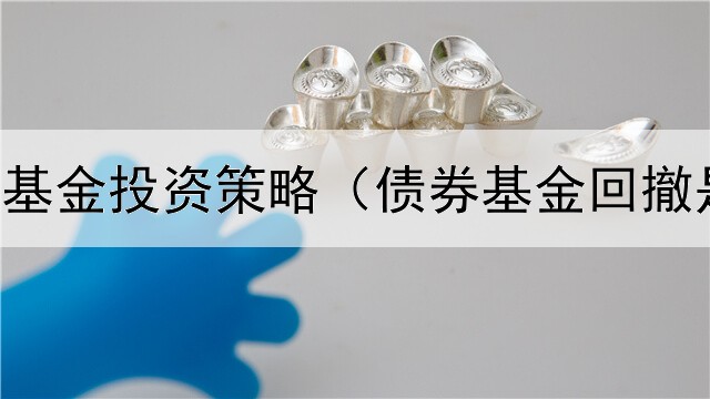 纯债券型基金投资策略（债券基金回撤是啥意思）