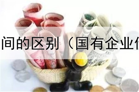 债券和股票之间的区别（国有企业债券审批流程）