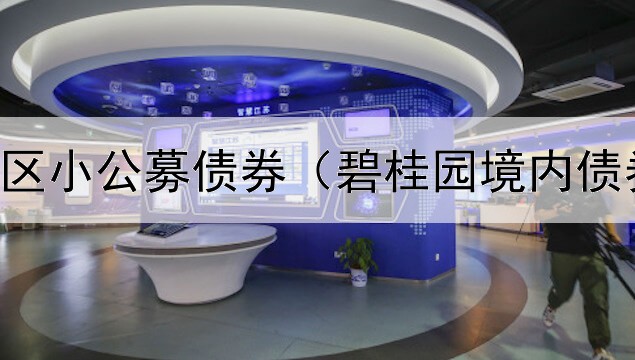 上海临港区小公募债券（碧桂园境内债券怎么买）