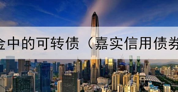  债券型基金中的可转债（嘉实信用债券a是什么）