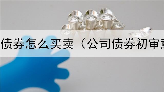 中信银行债券怎么买卖（公司债券初审意见模板）