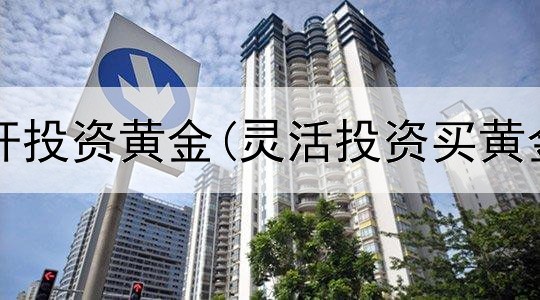 如何用杠杆投资黄金(灵活投资买黄金可以吗)