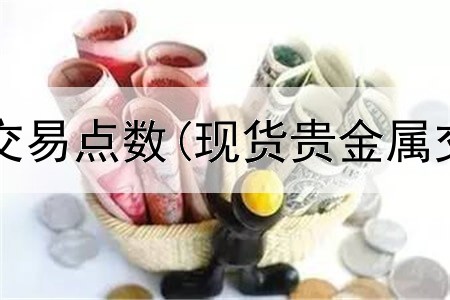  记账贵金属交易点数(现货贵金属交易所费率)